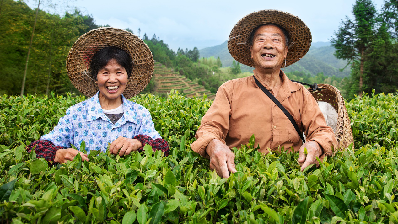 “振興中國好茶公益助農行動”正式發起，小罐茶以茶助農打贏脫貧攻堅戰