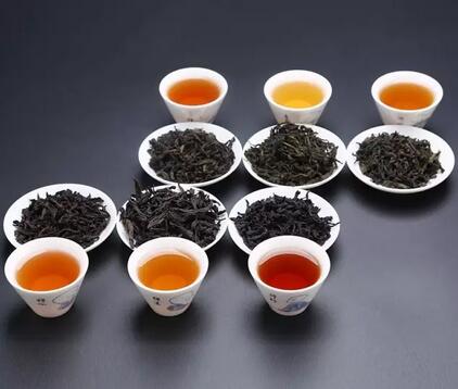 茶葉未來發展，名茶PK民茶
